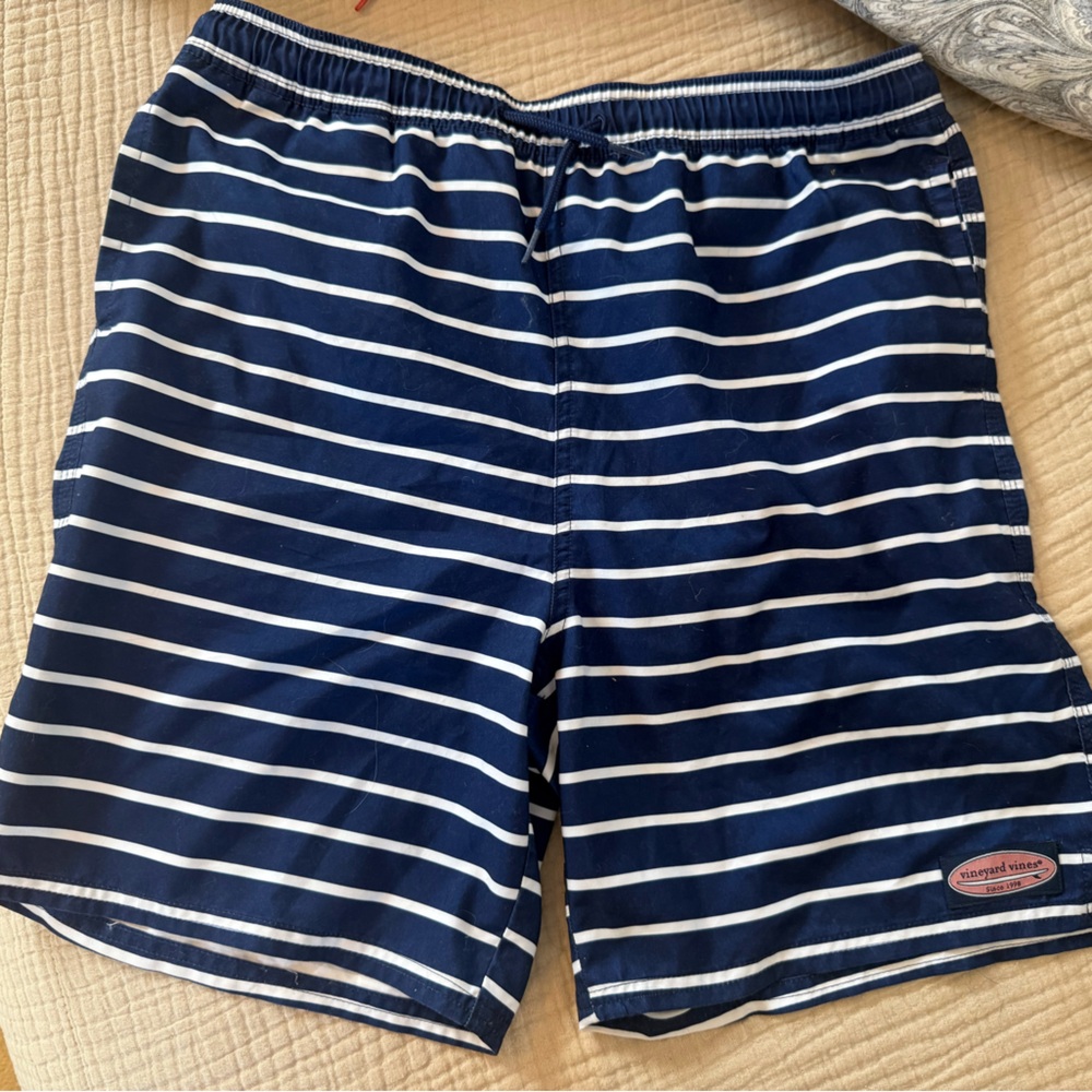 Men's Navy & White Stripe Swim Shorts